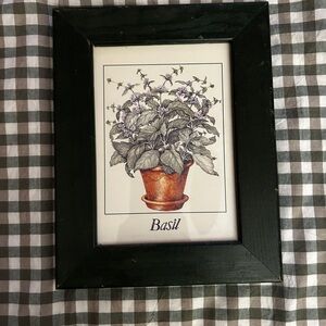 Framed basil print
